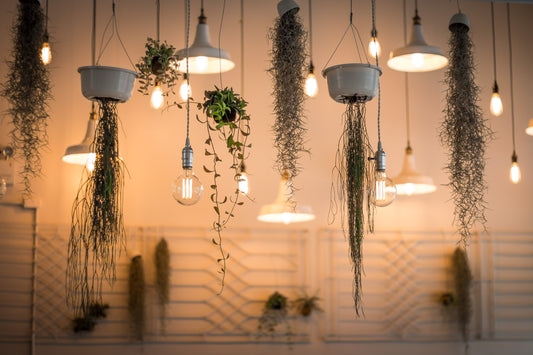 Illuminate Your Space with Solar Lights: A Sustainable Lighting Solution