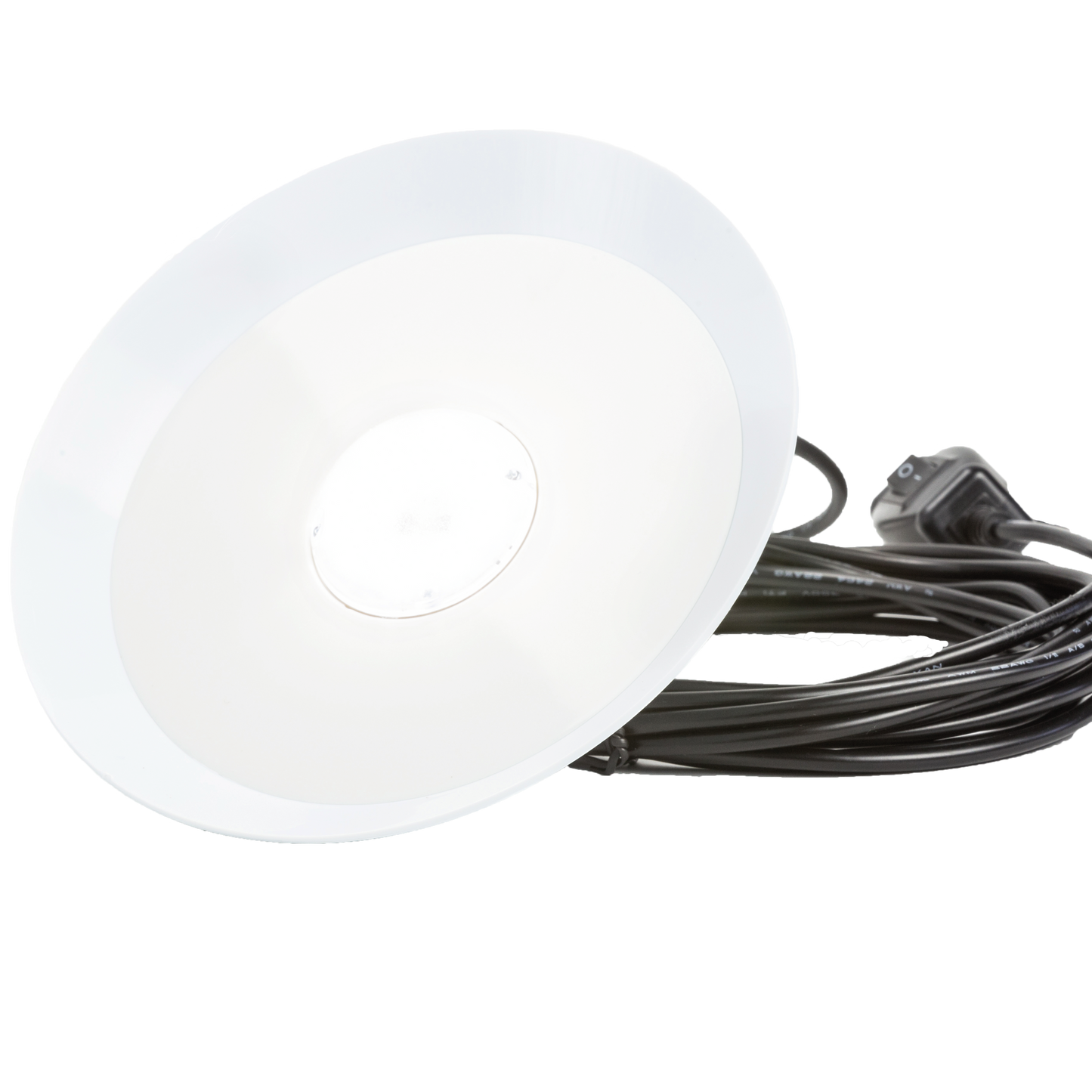 Chicken Friendly Lamp - SolarCreed