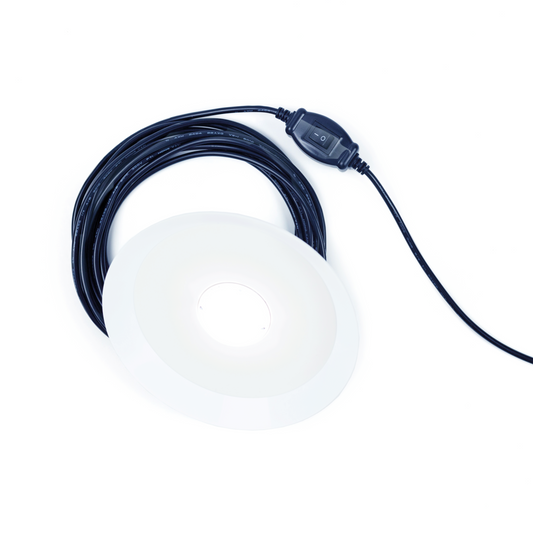 Chicken Friendly Lamp - SolarCreed