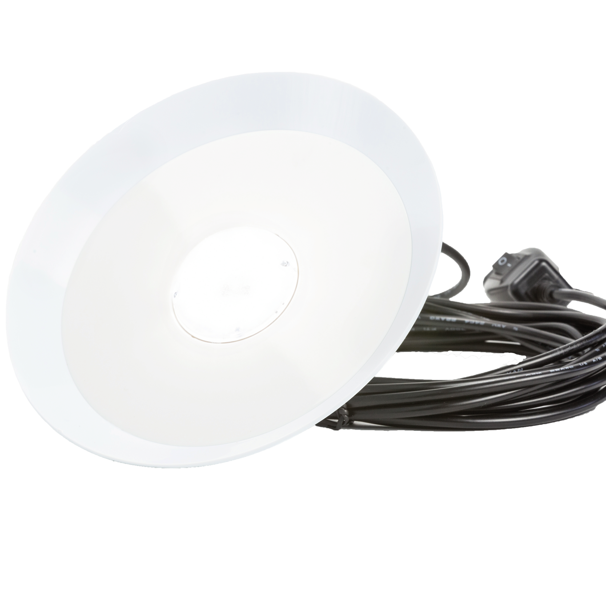 Chicken Friendly Lamp - SolarCreed