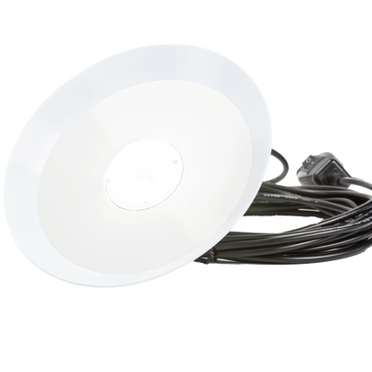 Chicken Friendly Lamp - SolarCreed